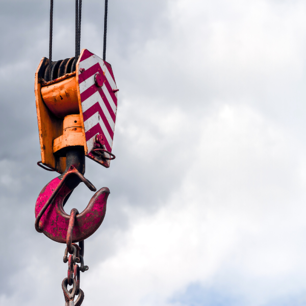 ΓΕΡΑΝΟΣ ΑΓΟΡΑ (10)