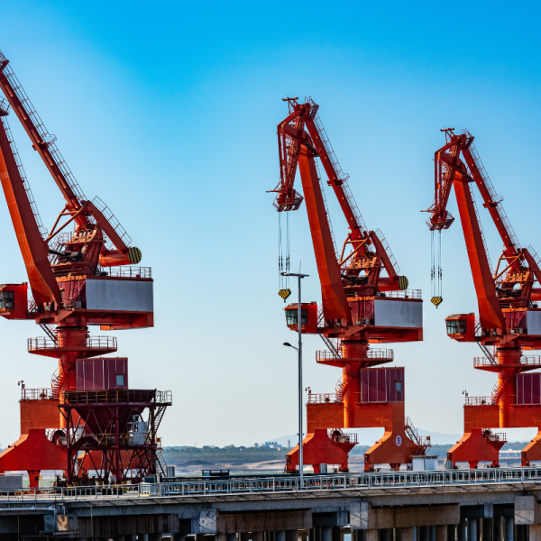 ΓΕΡΑΝΟΣ ΑΓΟΡΑ (4)